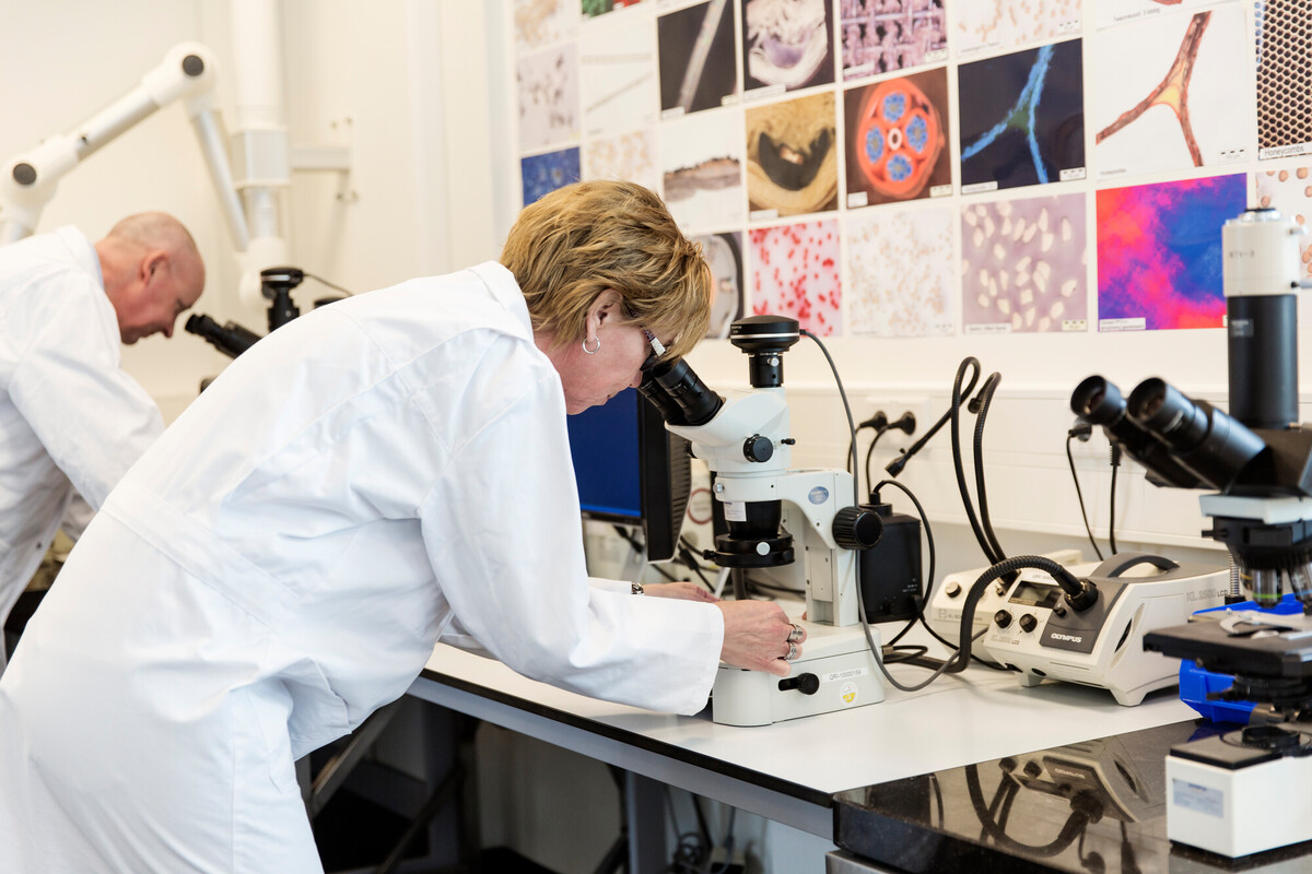 Tech Gelderland. Marjon Dullemond, docent labtechniek Rijn IJssel, Julia van Moerkerk en Lyndon van den Brink over de nieuwe opleiding Technisch Onderwijs Assistent (TOA). Tech Plaza